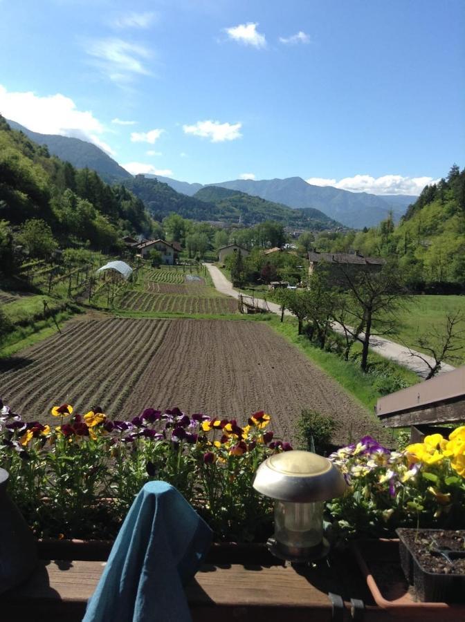 Martin Trento